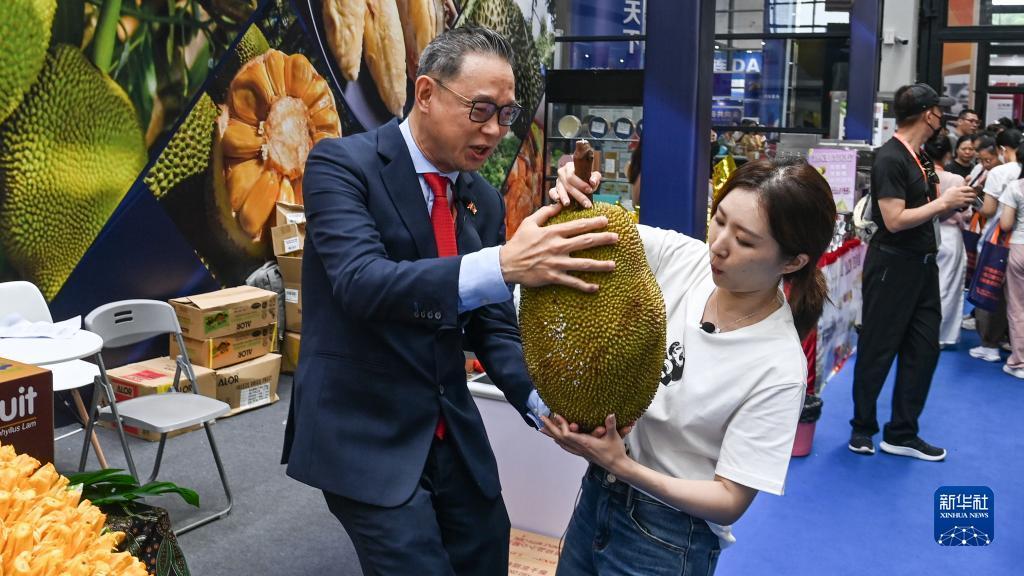 大赢家官网首页